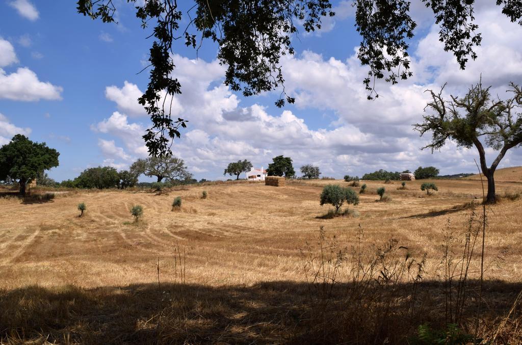 Aldeia do Cano Sernadinha מראה חיצוני תמונה